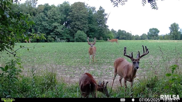 10965 E 700th Ave, Watson, IL 62473 - photo 53