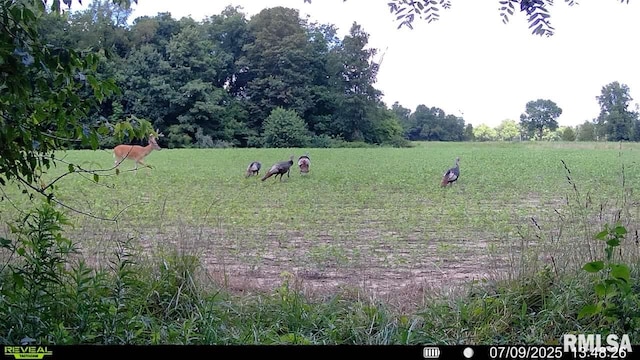 10965 E 700th Ave, Watson, IL 62473 - photo 54