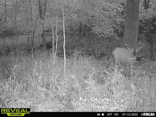 10965 E 700th Ave, Watson, IL 62473 - photo 55