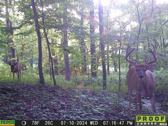 10965 E 700th Ave, Watson, IL 62473 - photo 57