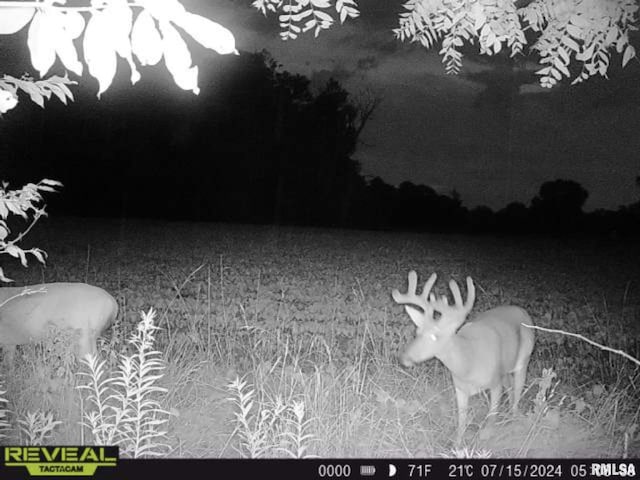 10965 E 700th Ave, Watson, IL 62473 - photo 62
