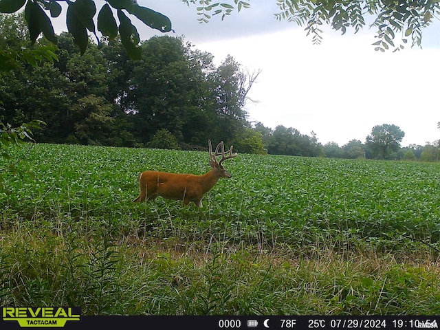 10965 E 700th Ave, Watson, IL 62473 - photo 69
