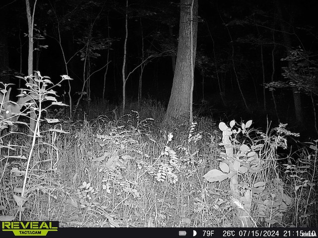 10965 E 700th Ave, Watson, IL 62473 - photo 72