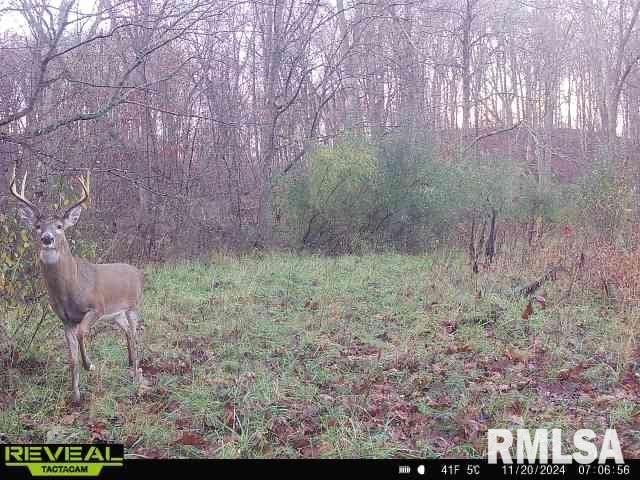 10965 E 700th Ave, Watson, IL 62473 - photo 77