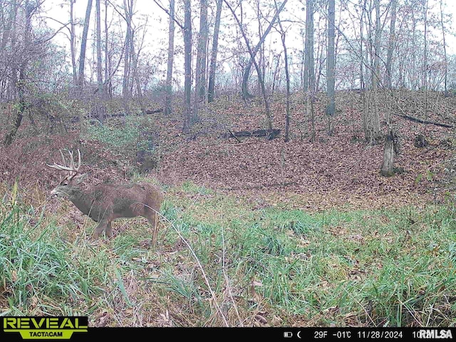 10965 E 700th Ave, Watson, IL 62473 - photo 81