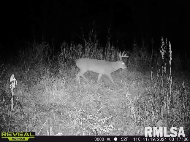 10965 E 700th Ave, Watson, IL 62473 - photo 84
