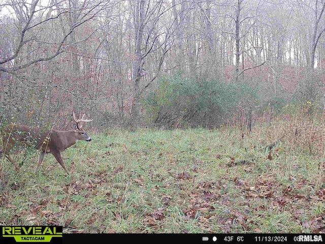 10965 E 700th Ave, Watson, IL 62473 - photo 85