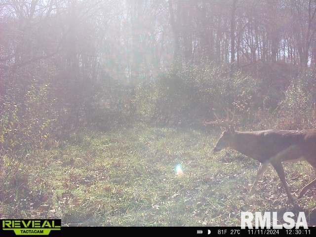 10965 E 700th Ave, Watson, IL 62473 - photo 86