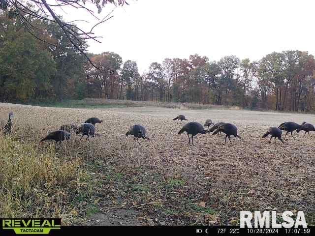 10965 E 700th Ave, Watson, IL 62473 - photo 87