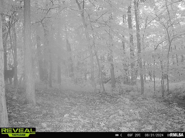 10965 E 700th Ave, Watson, IL 62473 - view of nature