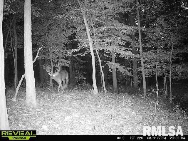 10965 E 700th Ave, Watson, IL 62473 - view of nature