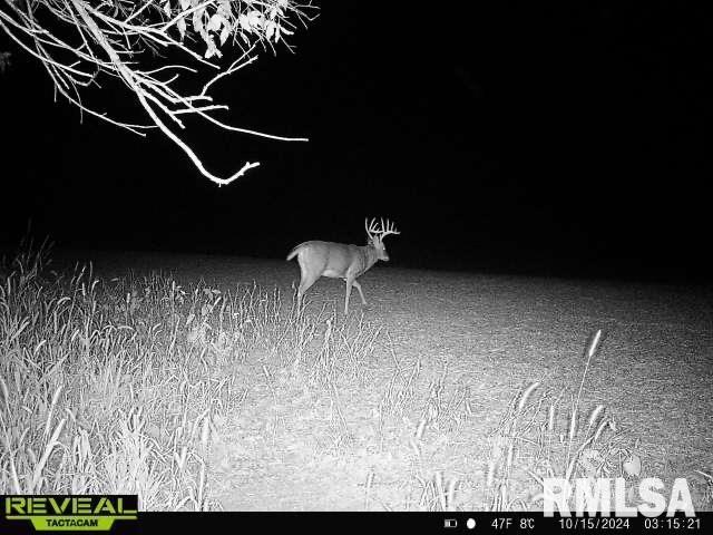 10965 E 700th Ave, Watson, IL 62473 - photo 90