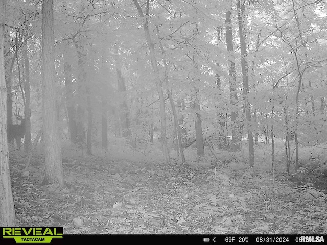 10965 E 700th Ave, Watson, IL 62473 - photo 92