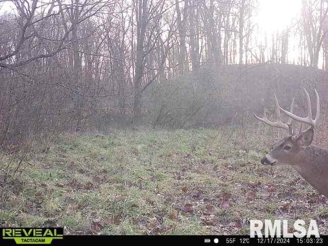 10965 E 700th Ave, Watson, IL 62473 - photo 94