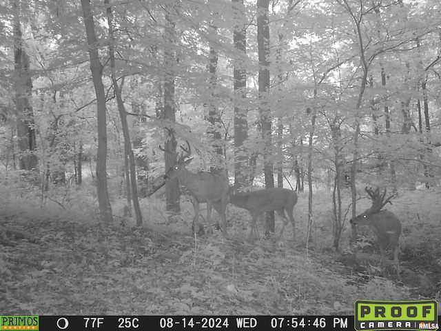 10965 E 700th Ave, Watson, IL 62473 - photo 95