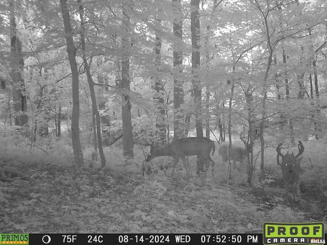10965 E 700th Ave, Watson, IL 62473 - photo 97