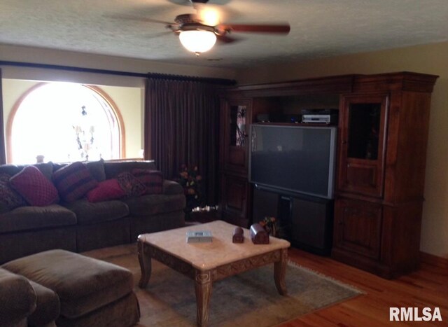 living room with wood-type flooring and ceiling fan