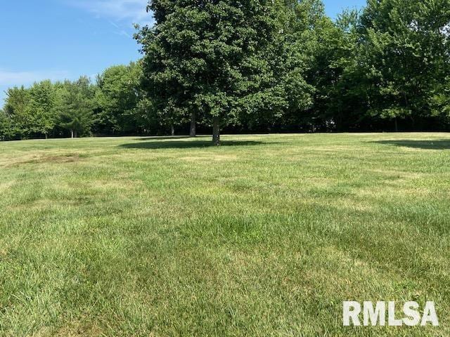 12863 Bowling Alley Rd, Benton, IL 62812 - photo 8