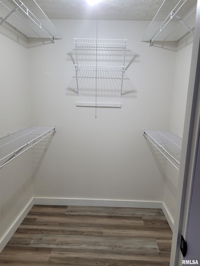 walk in closet featuring dark hardwood / wood-style floors