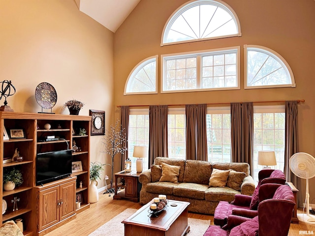 living room featuring high vaulted ceiling and light hardwood / wood-style flooring