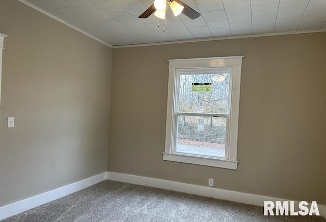 spare room featuring carpet flooring, ornamental molding, ceiling fan, and a healthy amount of sunlight