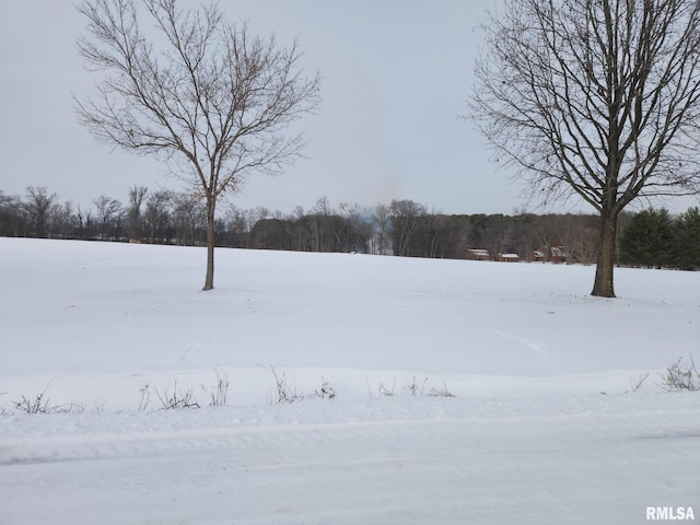 Listing photo 2 for LOT5 E Hutchison Rd, Mount Vernon IL 62864