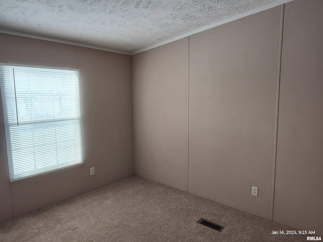 empty room featuring a textured ceiling and light carpet