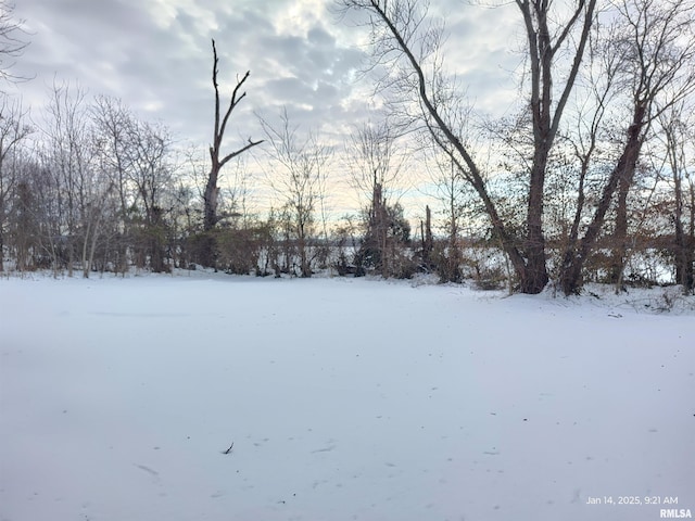 view of yard layered in snow