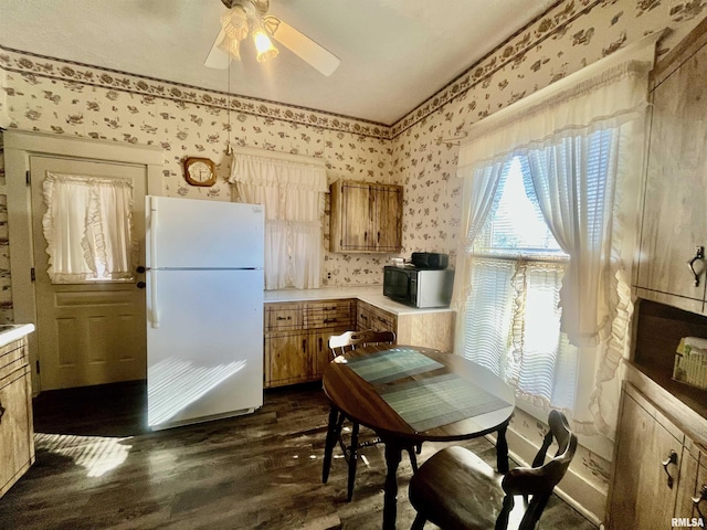 kitchen featuring ceiling fan, dark wood-type flooring, and white fridge