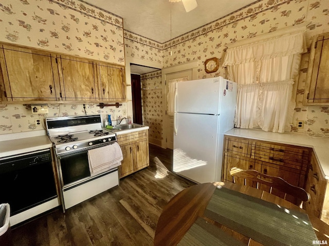 kitchen with white appliances, dark hardwood / wood-style flooring, and sink