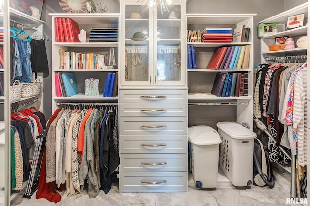 view of spacious closet