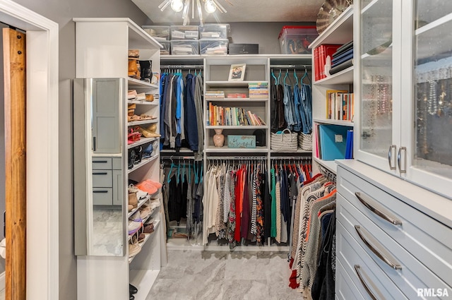 view of spacious closet