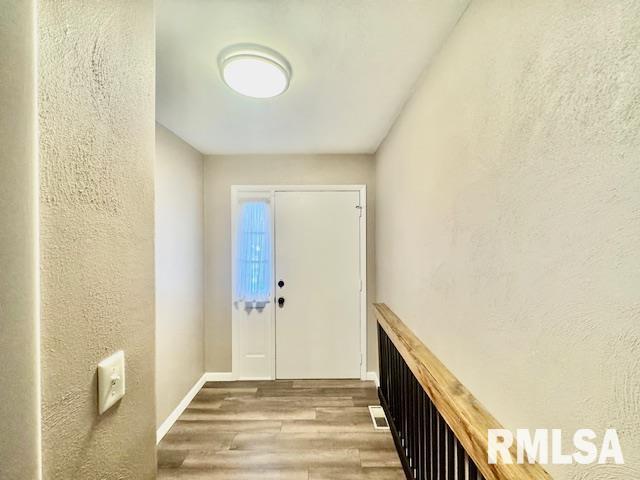 entryway featuring wood-type flooring