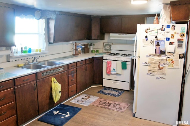 kitchen featuring sink, dark brown cabinetry, and white appliances