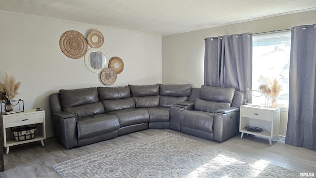 living room with light wood-type flooring