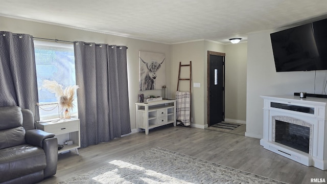 living room featuring light wood-type flooring