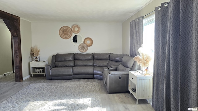 living room featuring light hardwood / wood-style floors