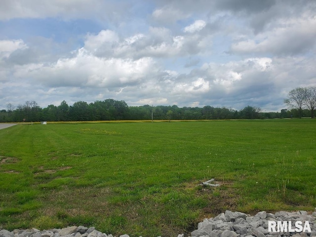 Listing photo 3 for tbd Shawnee College Road, Ullin IL 62992