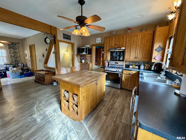 kitchen with hardwood / wood-style flooring, ceiling fan, stainless steel appliances, a center island, and sink