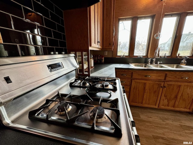 kitchen featuring sink, gas stove, and hardwood / wood-style floors