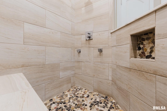 2730 Kokopelli Dr, Marion, IL 62959 - bathroom with a tile shower