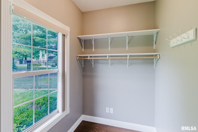 2730 Kokopelli Dr, Marion, IL 62959 - spacious closet featuring wood finished floors