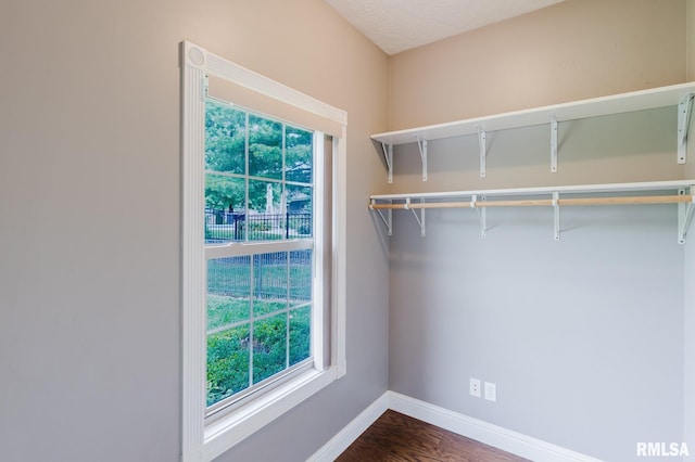 2730 Kokopelli Dr, Marion, IL 62959 - spacious closet with dark wood-style flooring