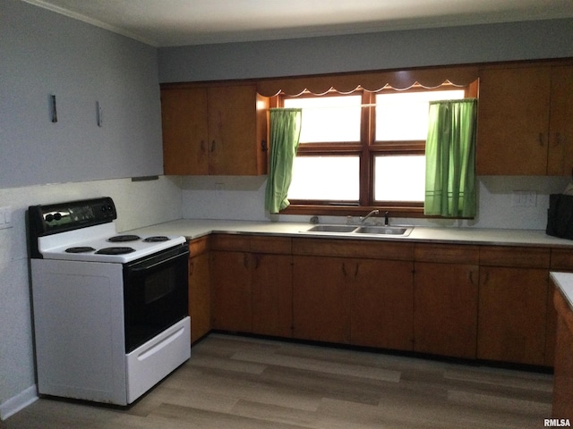 kitchen featuring wood-type flooring, sink, and electric range