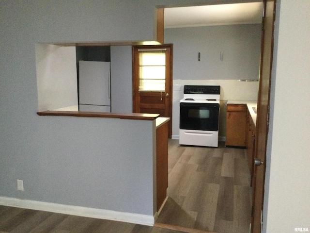 kitchen featuring electric stove, wood-type flooring, and white fridge