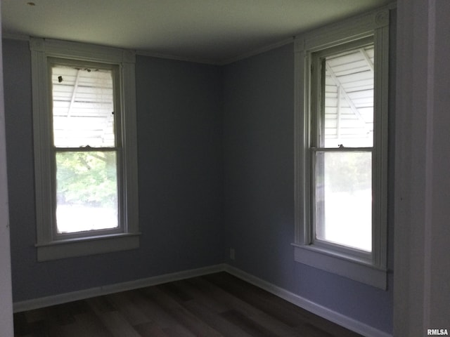 spare room with dark wood-type flooring and a wealth of natural light