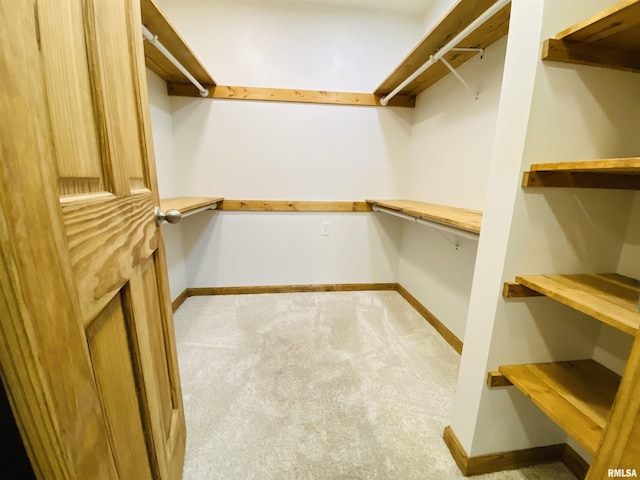 spacious closet featuring light colored carpet