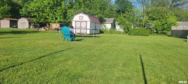 view of yard featuring a shed