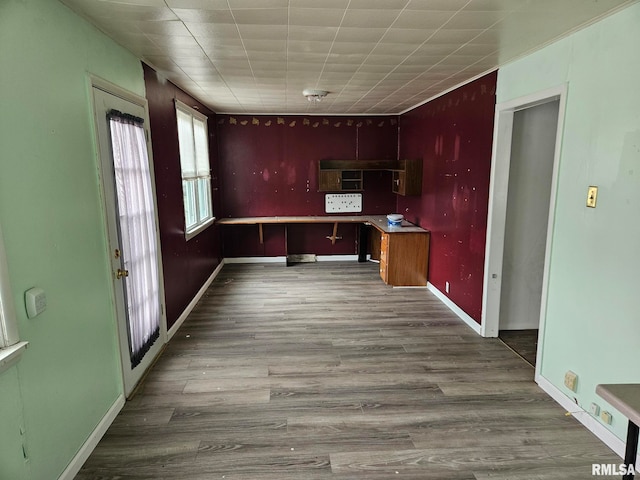 kitchen featuring wood-type flooring