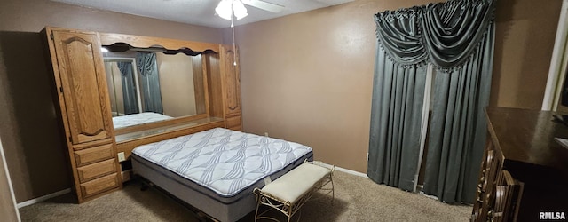 103 David Dr, Mcclure, IL 62957 - bedroom with carpet floors